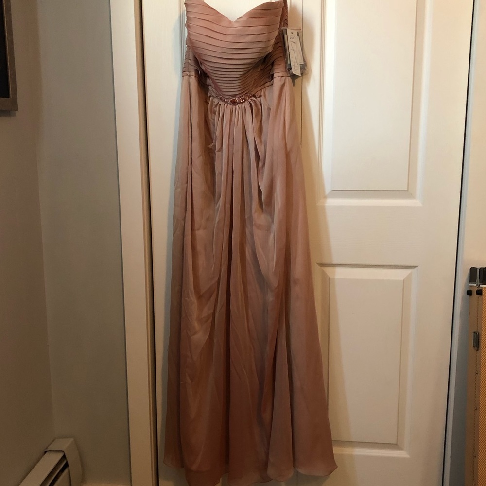 NWT Bari Jay floor length gown